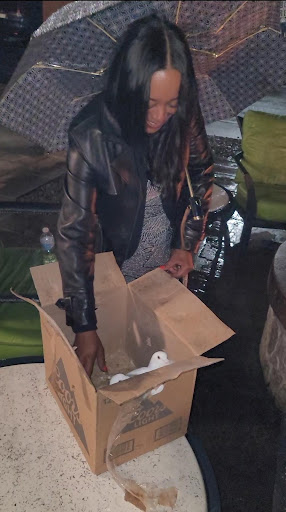 Pet Supply Store «E & N Pet Paradise Shop», reviews and photos, 289 E Gun Hill Rd, Bronx, NY 10467, USA