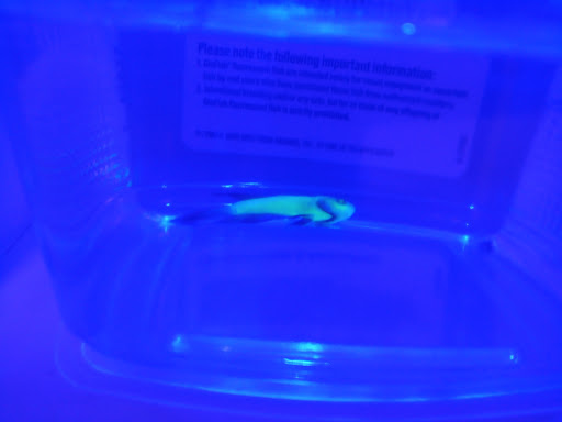 Pet Supply Store «Petco Animal Supplies», reviews and photos, 5481 Lone Tree Way, Brentwood, CA 94513, USA