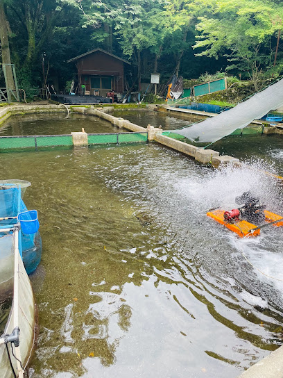 池田養魚場