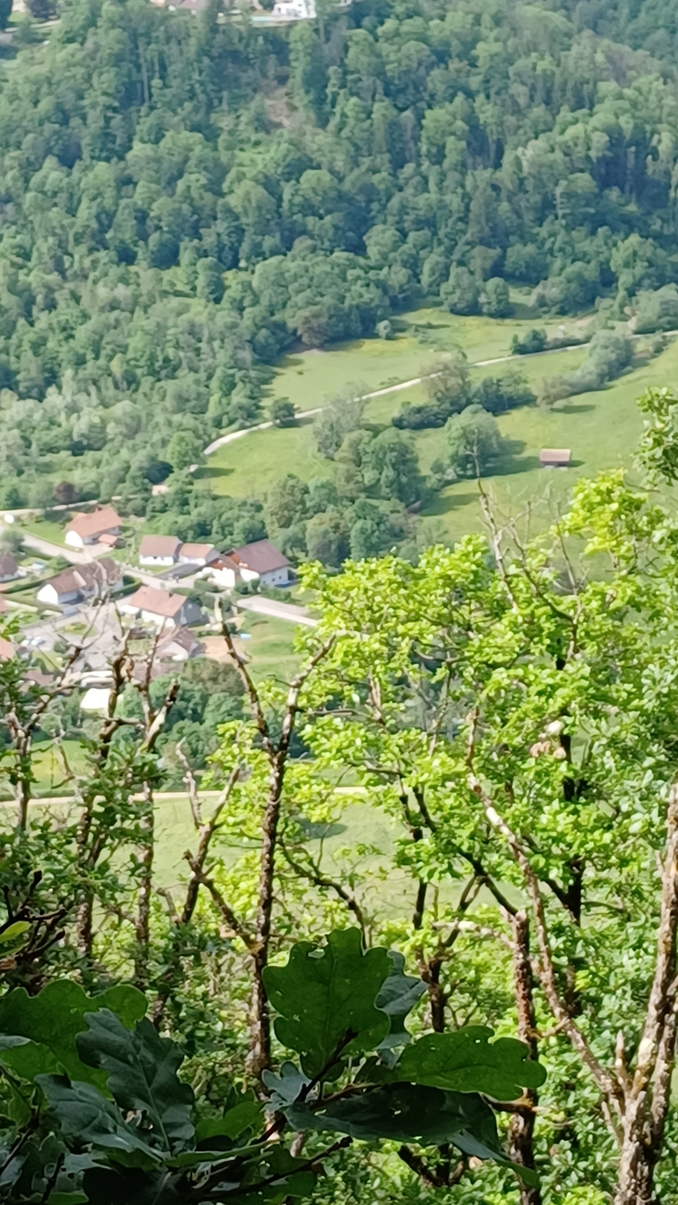 Photo n° 6 de l'avis de Françoise.I fait le 27/05/2023 à 15:56