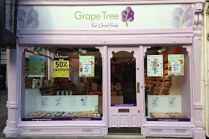 Grape Tree Hereford image