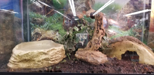 Pet Supply Store «Petland Discounts - Greenpoint», reviews and photos, 846 Manhattan Ave, Brooklyn, NY 11222, USA