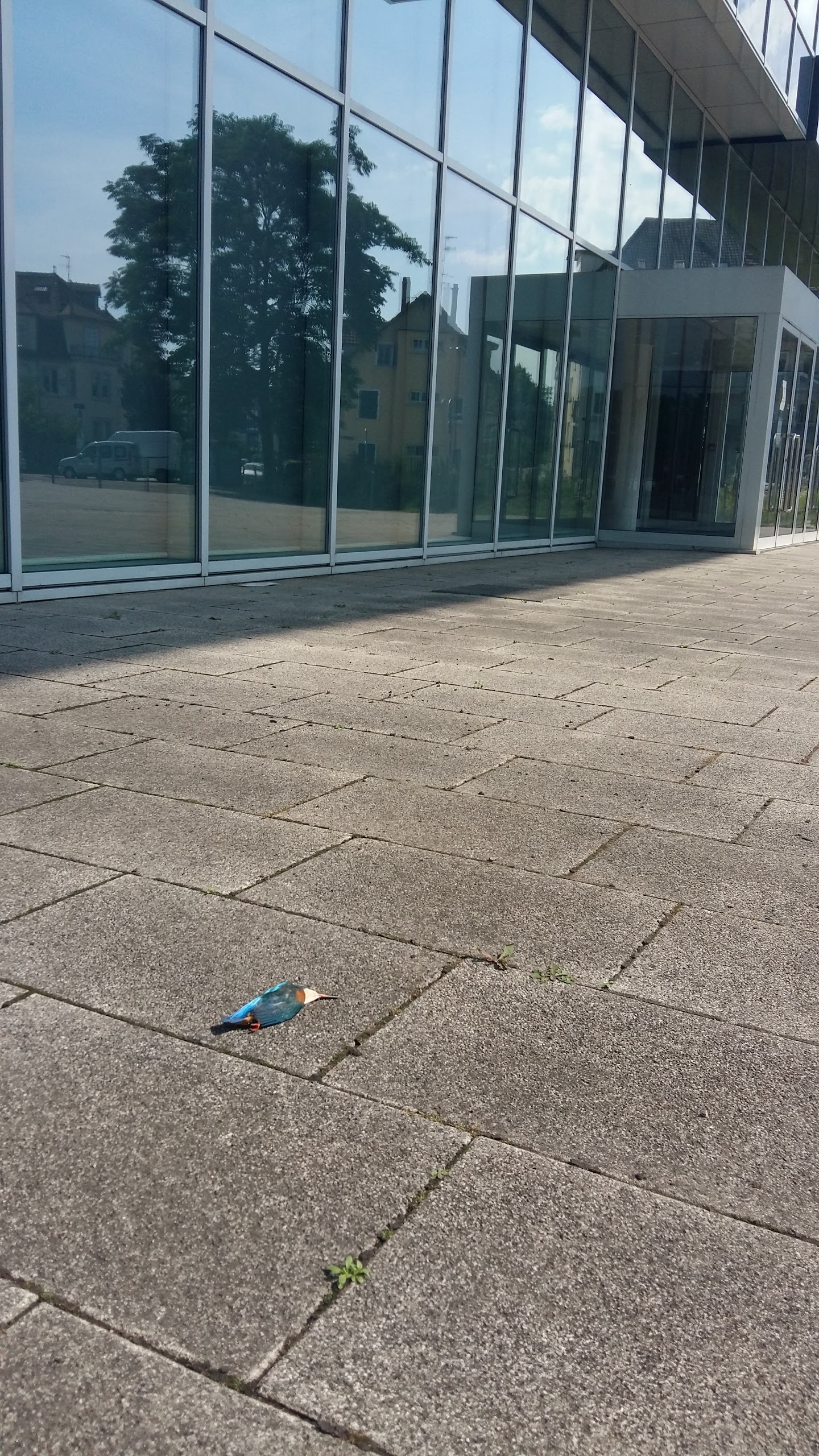 Photo n° 2 de l'avis de Lydia.a fait le 22/07/2017 à 05:28