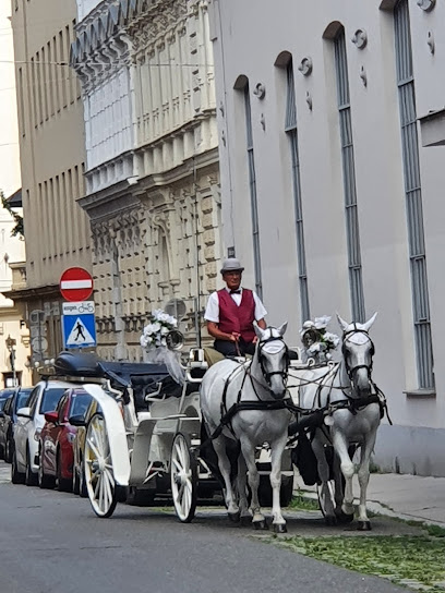 Standesamt Wien Zentrum für den 1., 4., 5., 6., 7., 8., 9. und 12. Bezirk