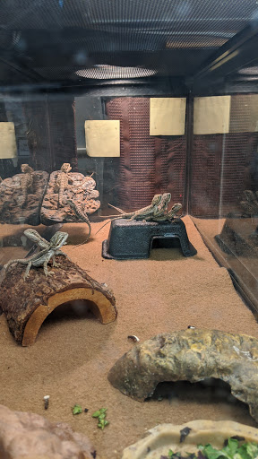 Pet Store «Pet Advantage», reviews and photos, 350 Dorset St # 1, South Burlington, VT 05403, USA