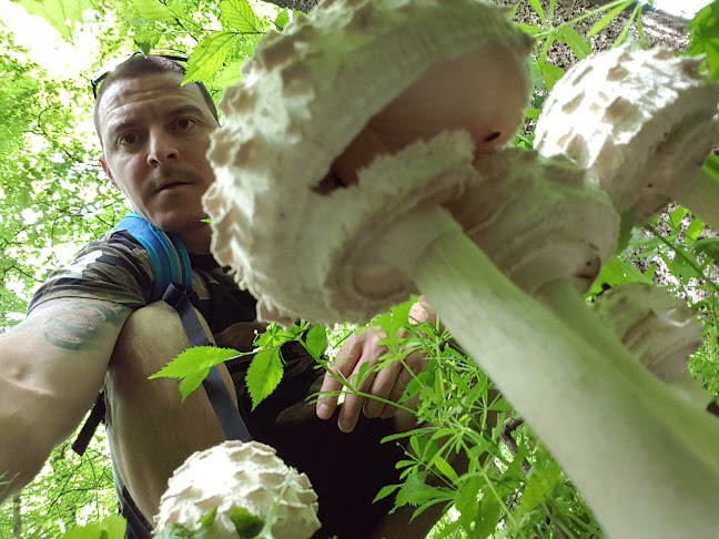 P77H+97, Западен, 1335 София