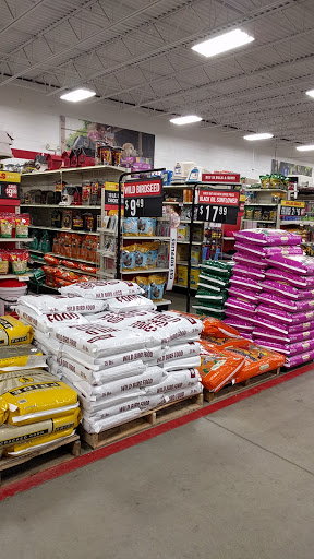 Home Improvement Store «Tractor Supply Co.», reviews and photos, 10 Plaza Dr, Winder, GA 30680, USA