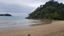 Helena Bay Beach'in fotoğrafı ve yerleşim