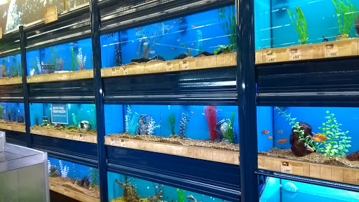 Tienda de peces Zapopan