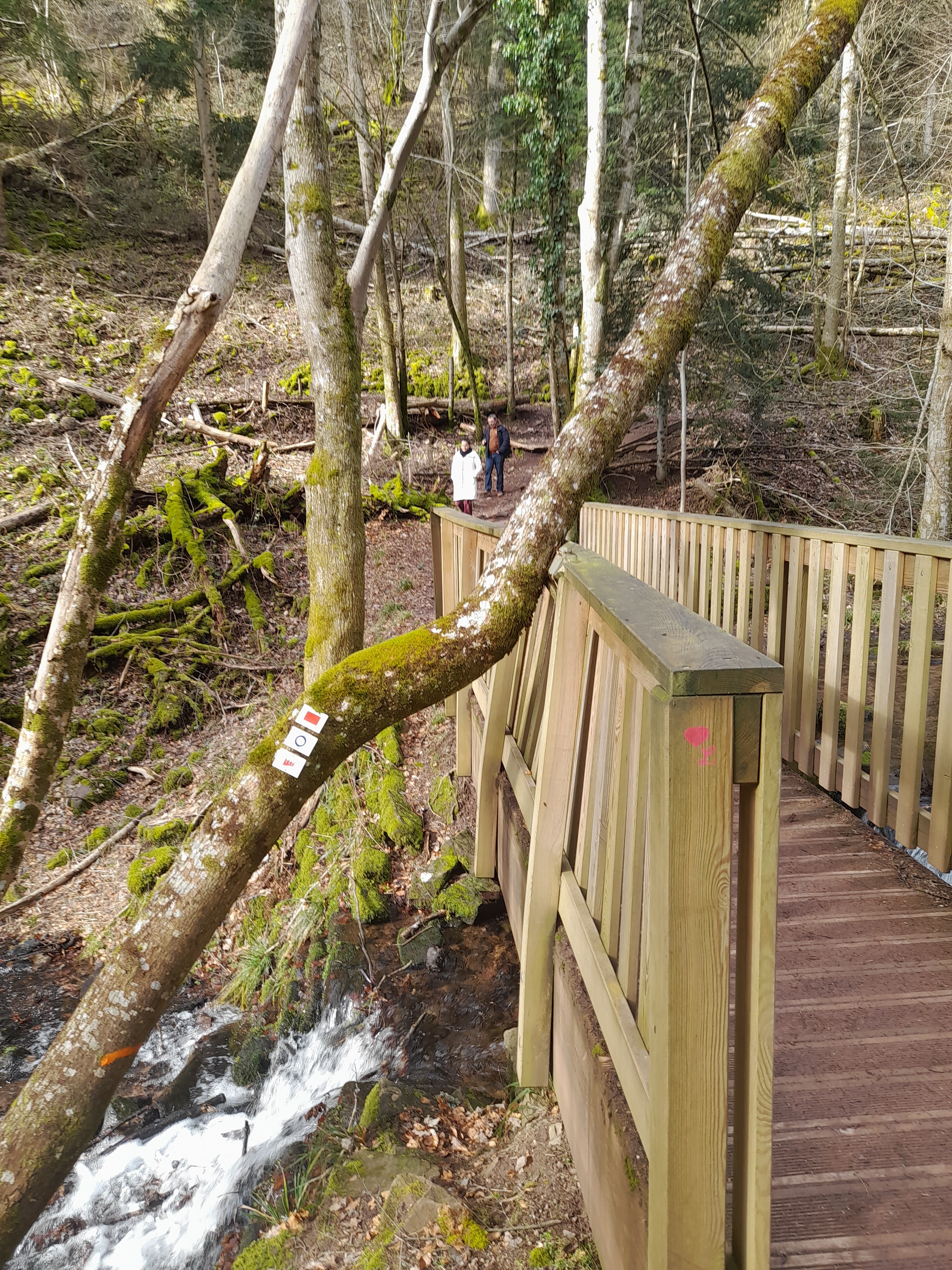 Photo n° 7 de l'avis de Allan. fait le 15/02/2024 à 17:31