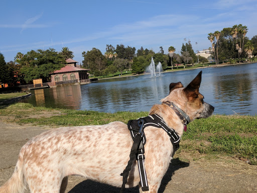 Park «Lincoln Park», reviews and photos, 3501 Valley Blvd, Los Angeles, CA 90031, USA