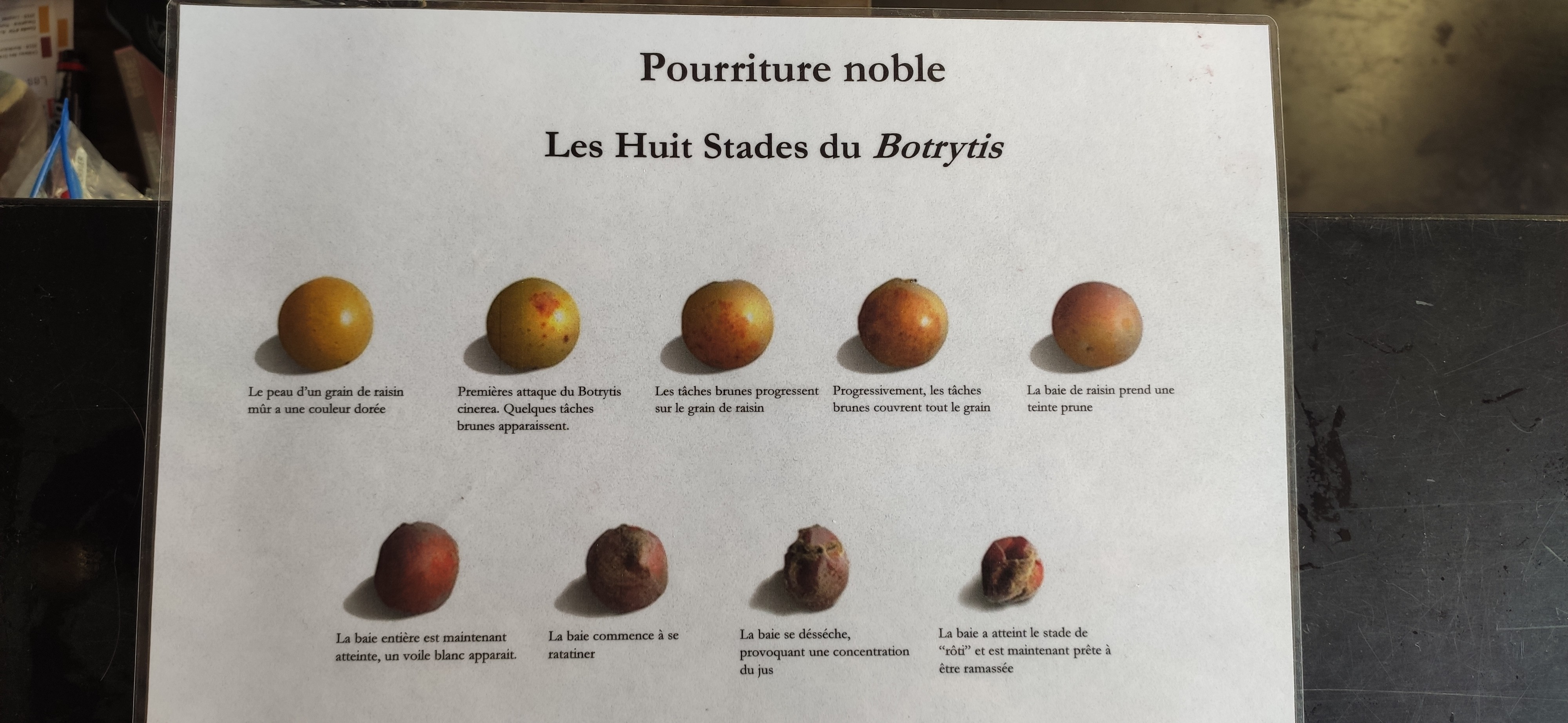 Photo n° 10 de l'avis de Pierre-Henry.O fait le 07/12/2023 à 06:22