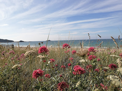 Villas des Sables à Plurien