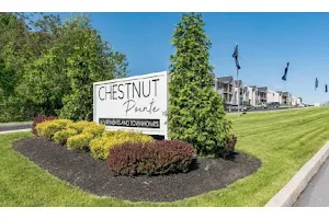 Chestnut Pointe Apartments image