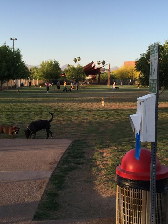 Chaparral Dog Park