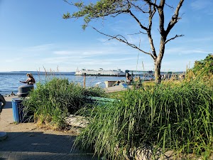 Olympic Beach - photo 90