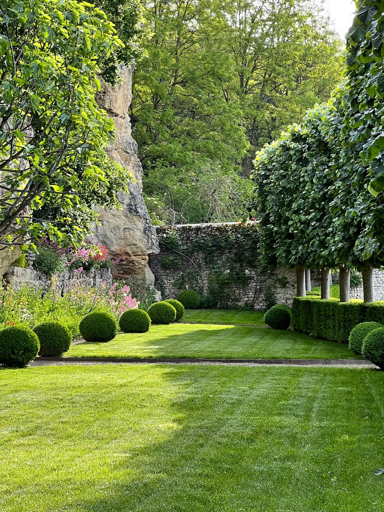 Photo n° 1 de l'avis de A..e fait le 06/06/2023 à 13:23