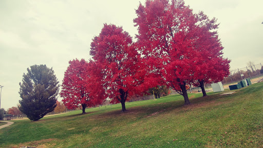 Golf Course «Spencer T Olin Golf Course», reviews and photos, 4701 College Ave, Alton, IL 62002, USA