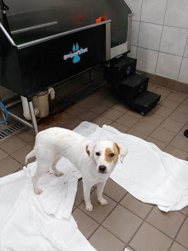 Pet Supply Store «Pet Supplies Plus», reviews and photos, 208 St James Ave, Goose Creek, SC 29445, USA