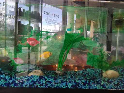 Nail Salon «Studio Salon», reviews and photos, 2939 Spafford St, Davis, CA 95618, USA