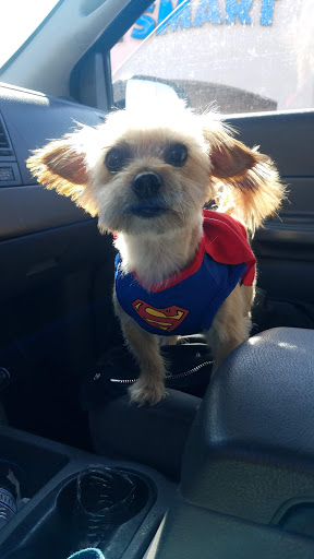 Pet Supply Store «PetSmart», reviews and photos, 1145 W Riverdale Rd, Riverdale, UT 84405, USA