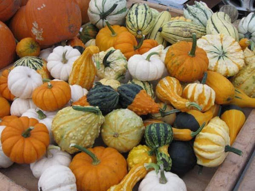 Produce Market «Maple Grove Farmers Market», reviews and photos, 12951 Weaver Lake Rd, Maple Grove, MN 55369, USA