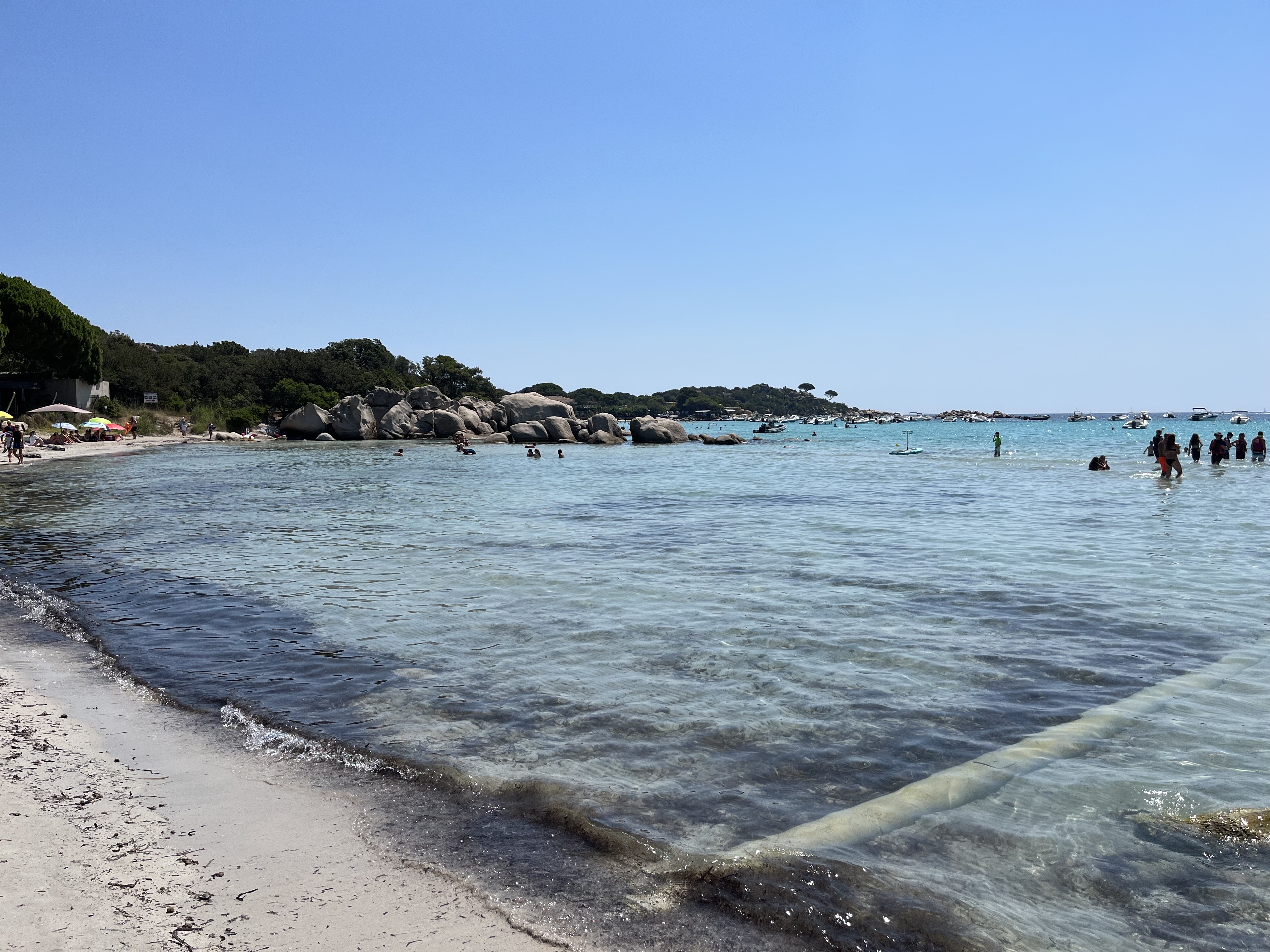 Photo n° 2 de l'avis de François-Xavier.e fait le 26/07/2022 à 06:11