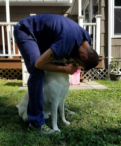 True Monarch In-Home Veterinary Service image