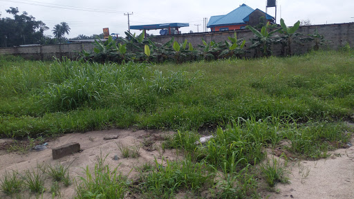 Agofure Oil, Warri, Nigeria, Gas Station, state Delta