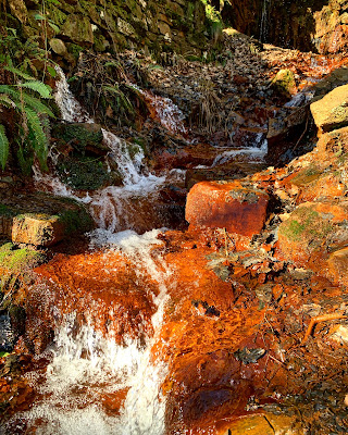 Source ferrugineuse de Laifour à Revin