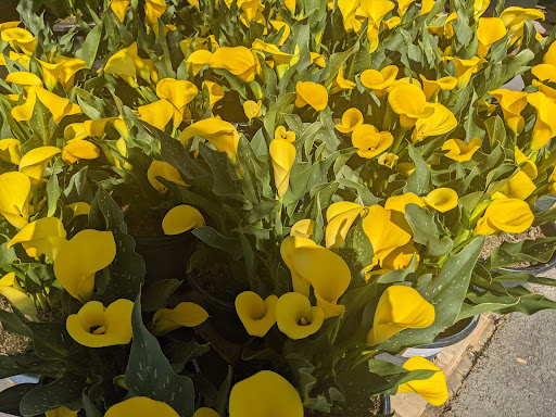 Home Improvement Store «The Home Depot», reviews and photos, 600 S Harbor Blvd, La Habra, CA 90631, USA