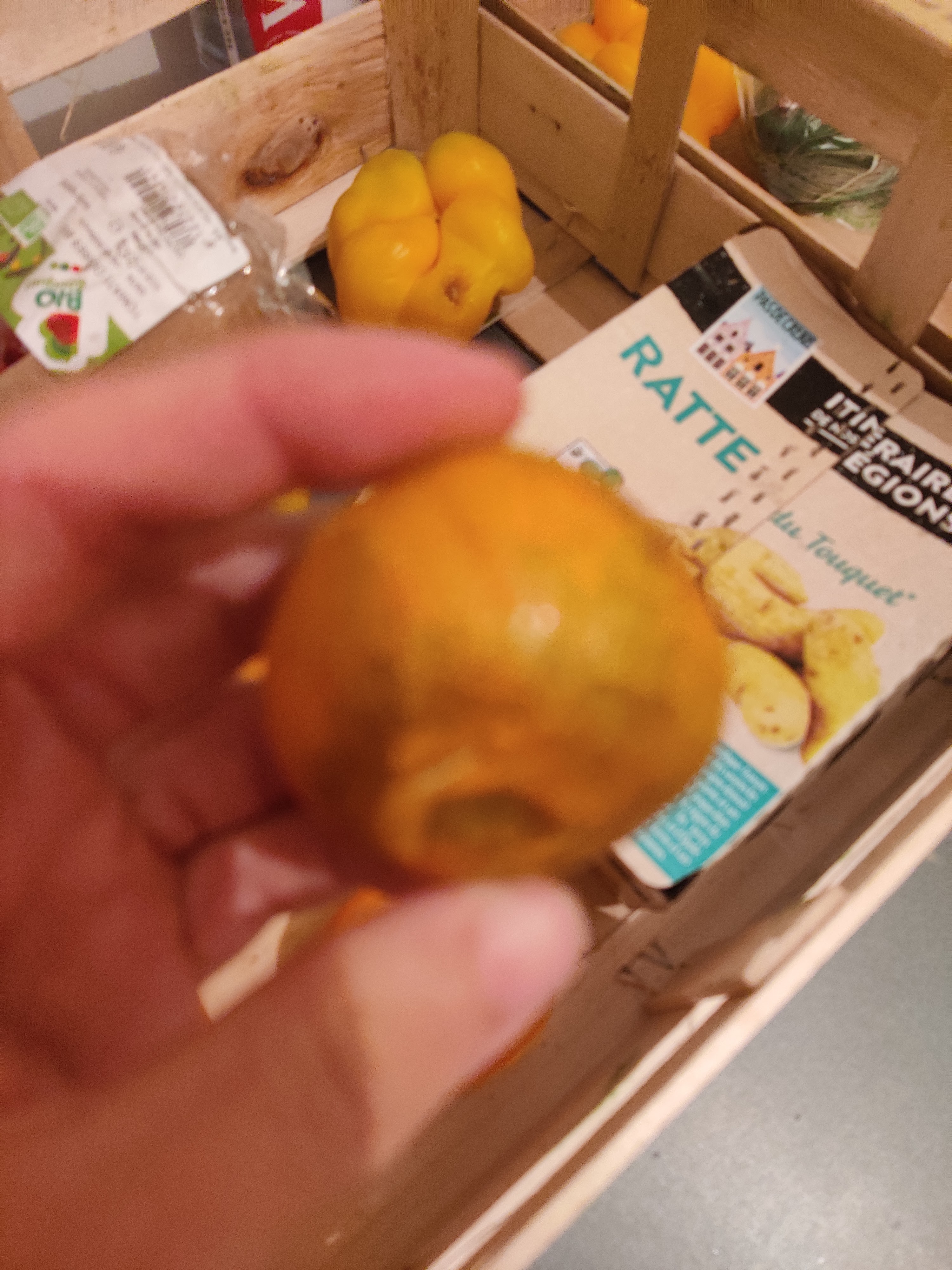 Photo n° 3 de l'avis de Anis.e fait le 28/10/2021 à 17:30