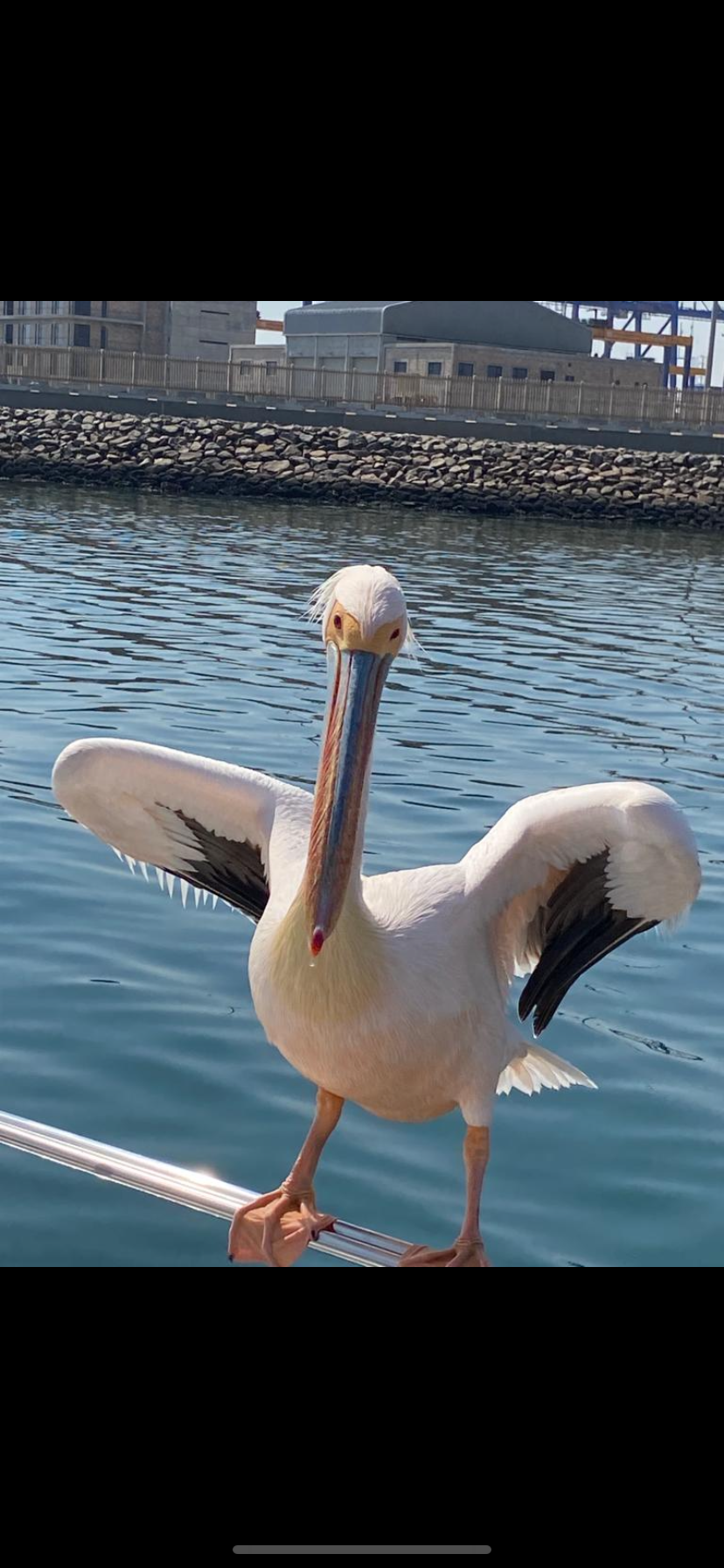 Photo n° 3 de l'avis de David.e fait le 21/03/2024 à 10:03