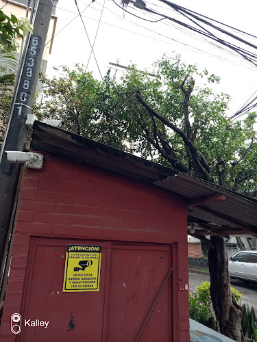 Seguridad G.E.Y.T - Servicio de seguridad