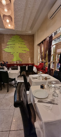 Atmosphère du Restaurant libanais Chez Farhat à Paris - n°8