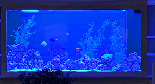 Tropical Fish Store «High Tide Aquarium», reviews and photos, 1140 Capital Cir SE # 11, Tallahassee, FL 32301, USA