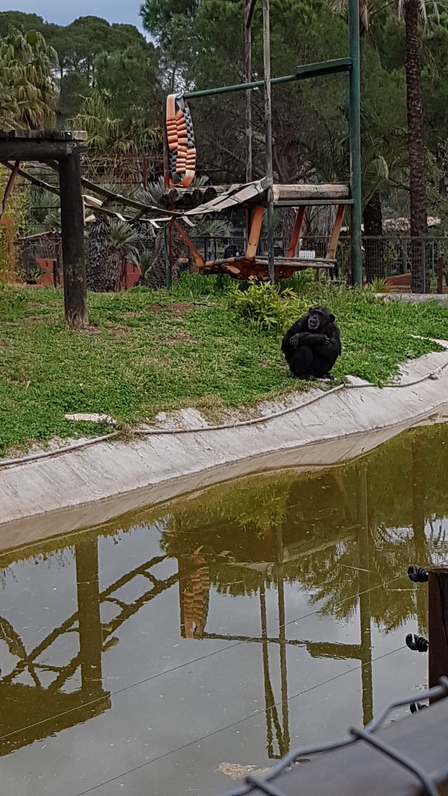 Photo n° 43 de l'avis de Isabelle.e fait le 16/04/2019 à 22:21