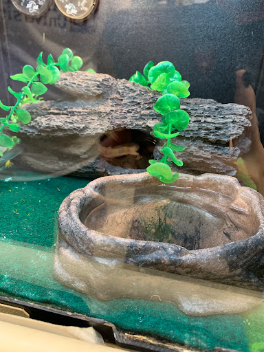 Pet Supply Store «PetSmart», reviews and photos, 1331 Nixon Dr, Moorestown, NJ 08057, USA