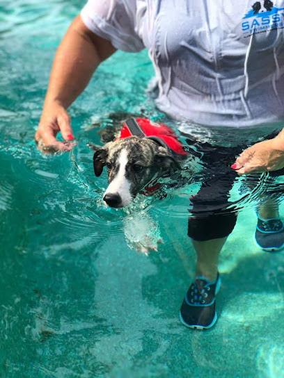 Sassy Swimmers/ Alabama Canine Swimming