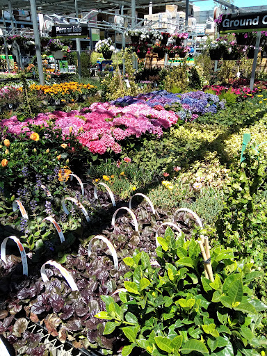 Home Improvement Store «The Home Depot», reviews and photos, 6280 Hembree Ln, Windsor, CA 95492, USA