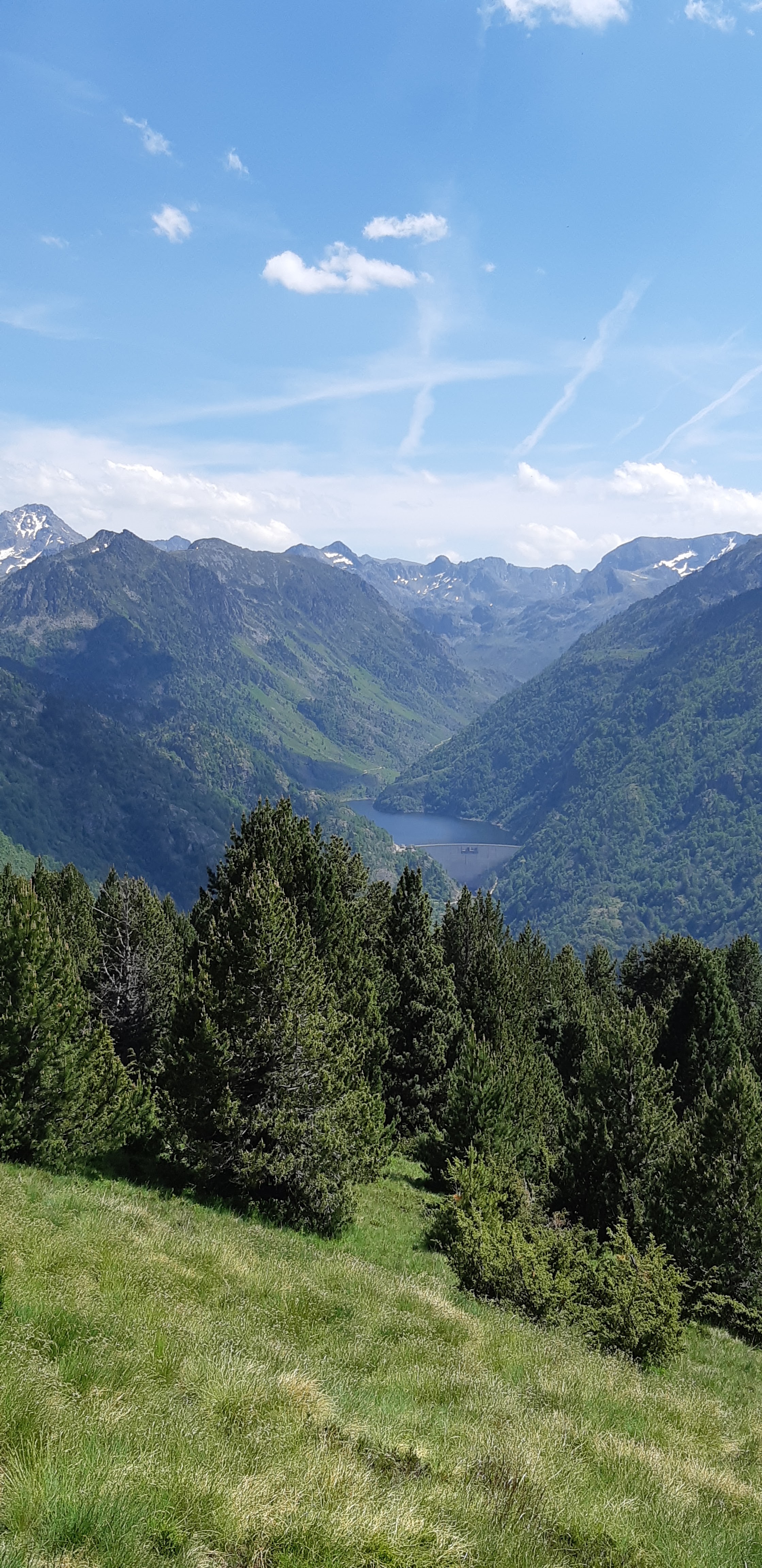 Photo n° 12 de l'avis de Yannick.a fait le 23/06/2019 à 21:16