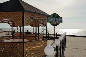 Tropicana Hotel image