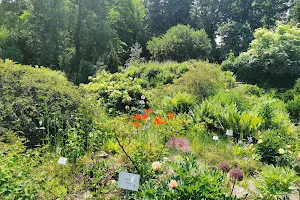 Old Botanical Garden of Göttingen University image