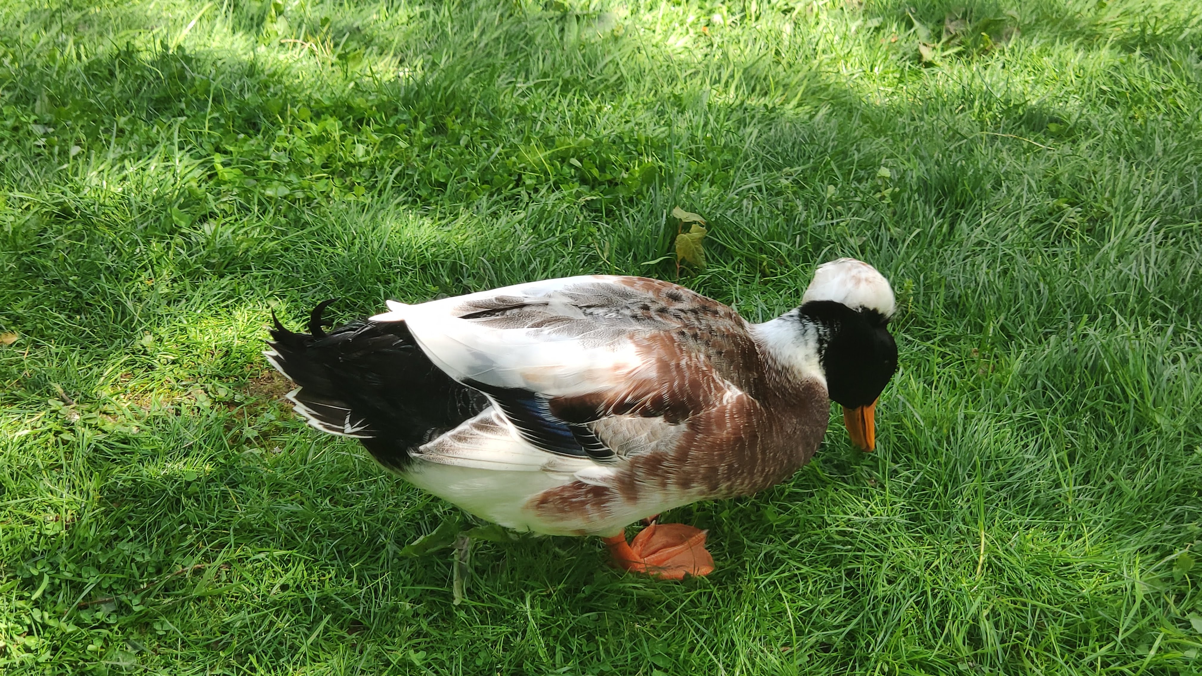 Photo n° 4 de l'avis de laurent.e fait le 17/04/2019 à 13:38