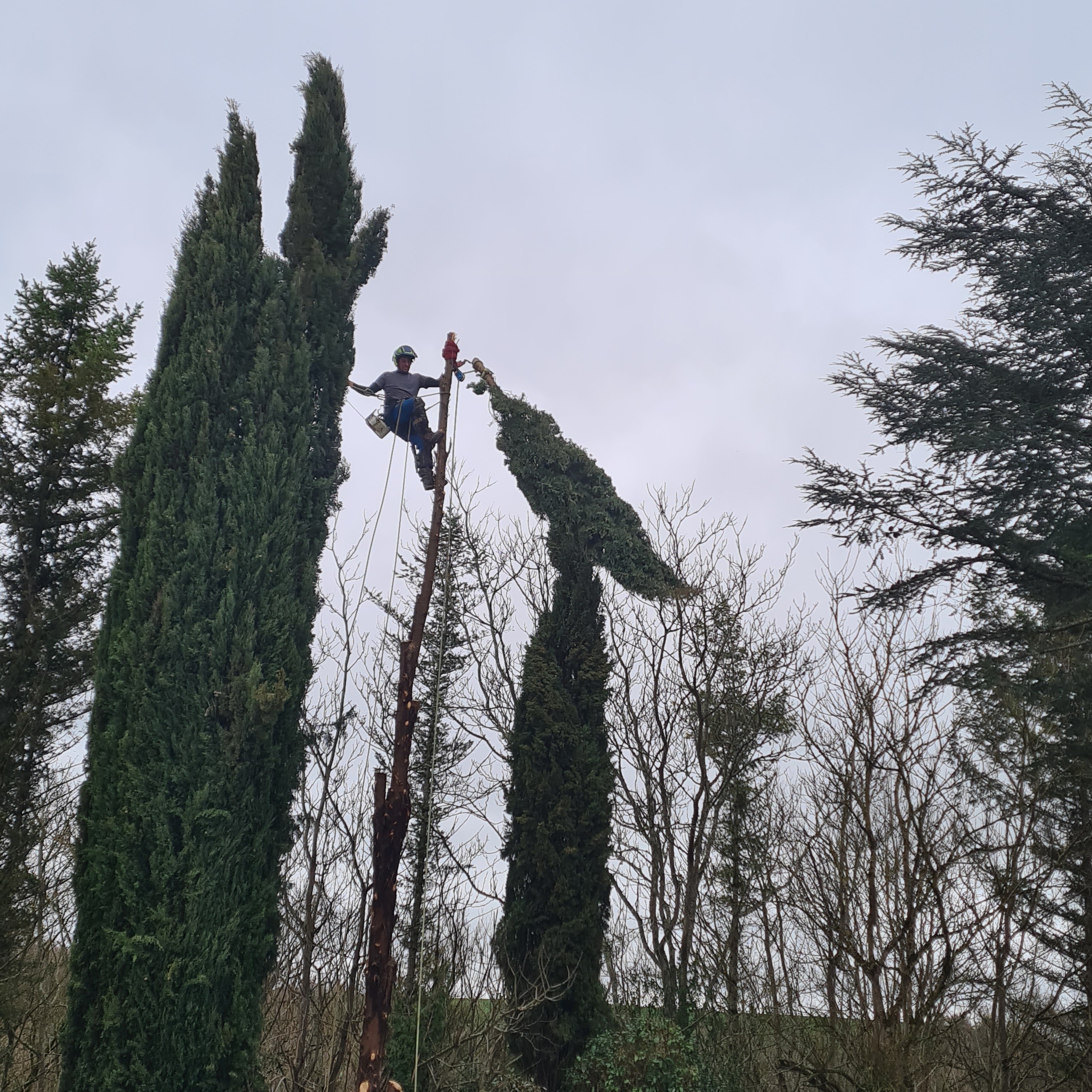 Photo n° 2 de l'avis de Gilles.e fait le 19/02/2024 à 14:50