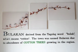 Cotton Trees Spa image