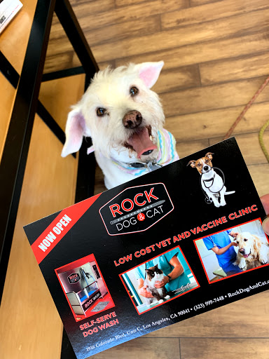 Pet Store «Rock Dog and Cat», reviews and photos, 1916 Colorado Blvd, Los Angeles, CA 90041, USA