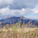 Photo n°10 de l'avis de Monica.o fait le 04/05/2018 à 15:40 sur le  Caffè dell'Opera à Torre del Lago