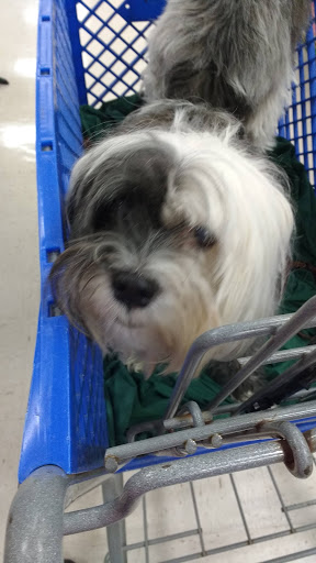 Pet Supply Store «Agway of North Haven», reviews and photos, 66 State St, North Haven, CT 06473, USA