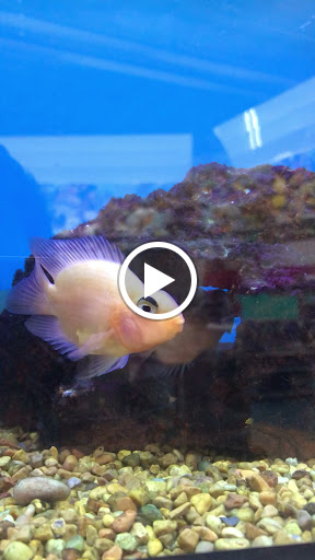 Pet Supply Store «Petco Animal Supplies», reviews and photos, 3444 S Mooney Blvd, Visalia, CA 93277, USA